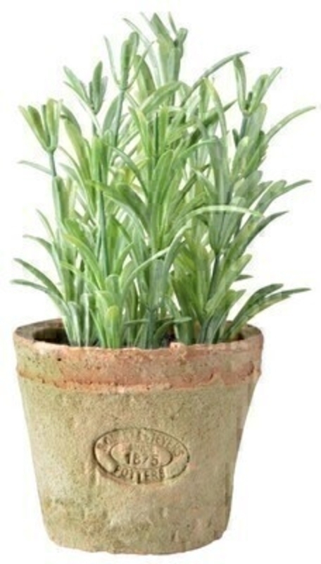 Artificial Rosemary Plant in Terracotta Pot